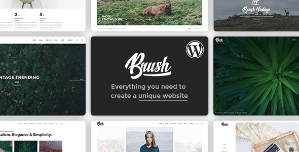 Brush WordPress Theme Installation Service License - https://pixelaart.com/service/brush-wordpress-theme-installation-service-license/